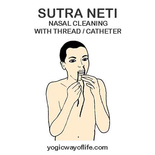 Sutra Neti - Nasal Cleaning - Hatha Yoga