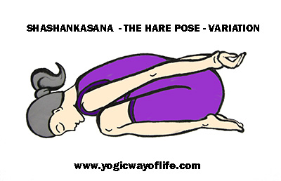 Sashangasana_hare_pose_Variation_yoga_asana