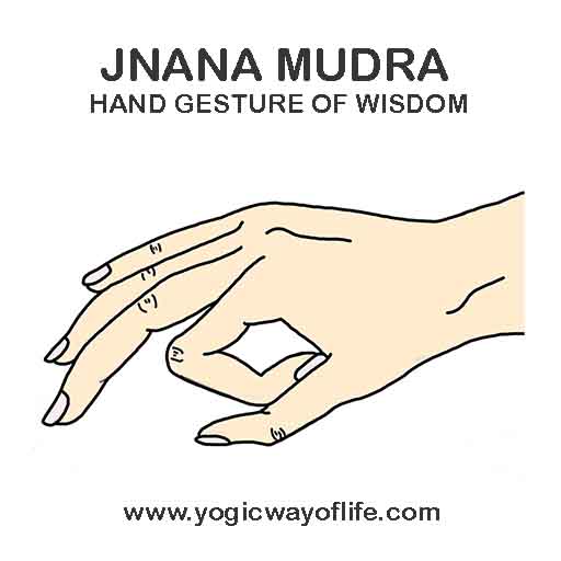 Jnana_mudra_gyan_mudra_yoga