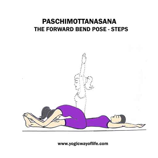 Paschimottanasana_forward_bend_yoga_pose_steps