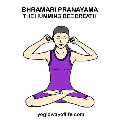 Image result for bhramari pranayama