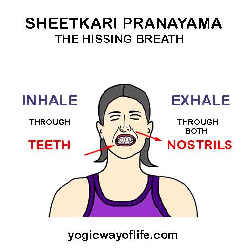 Sheetkari Pranayama - The Hissing Breath