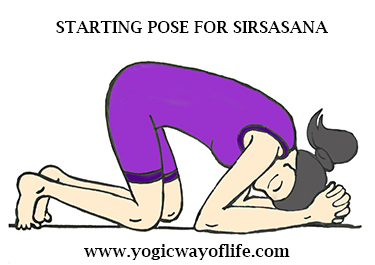 Stage_1_Sirsasana_Head_Stand_Yoga_Pose_Asana
