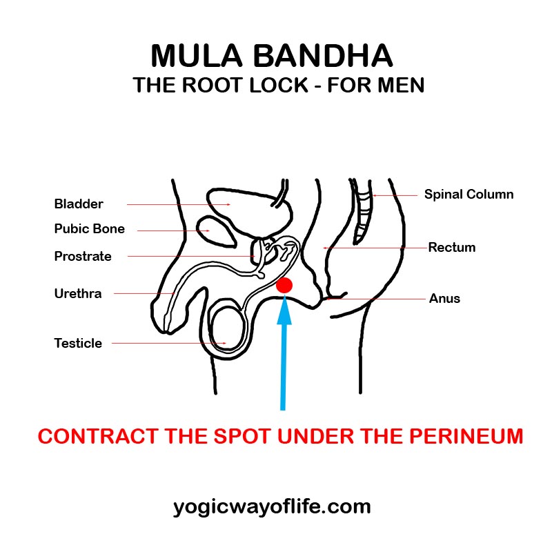 Mula Bandha - Root Lock - For Men