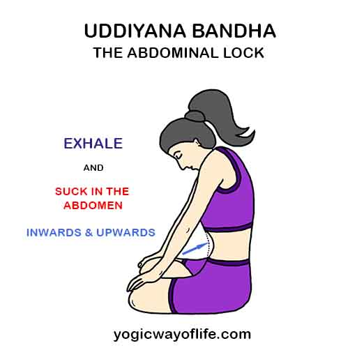 Uddiyana_Bandha_abdominal_lock_yoga
