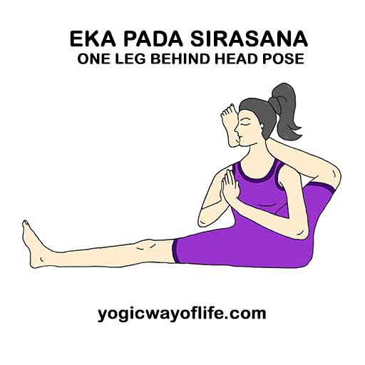 Eka_Pada_Sirasana_Asana_Yoga_Pose