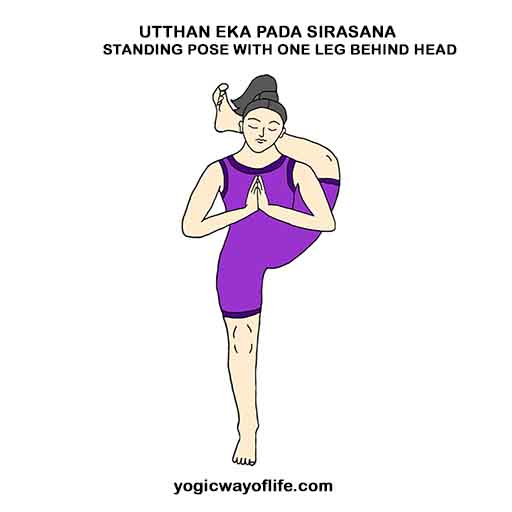 Utthan_Eka_Pada_Sirasana_Asana_Yoga_pose