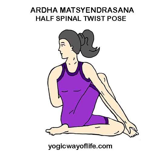 Ardha_Matsyendrasana_Half_Spinal_Twist_Pose_Yoga_Asana