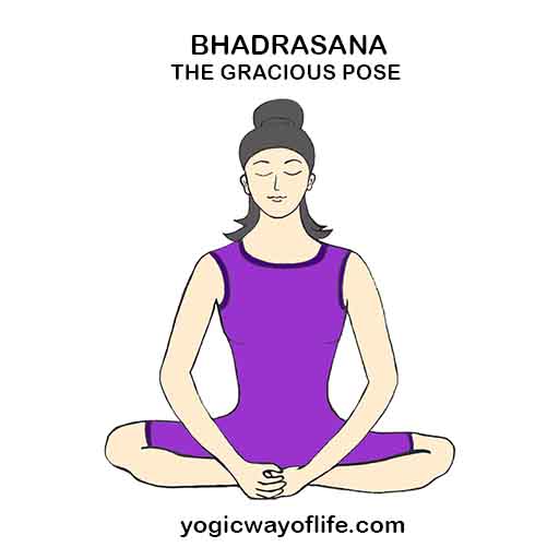 Bhadrasana_Gracious_Pose_Yoga_Asana