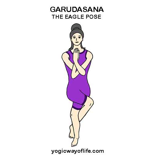 Garudasana_Eagle_Pose_Yoga_Asana
