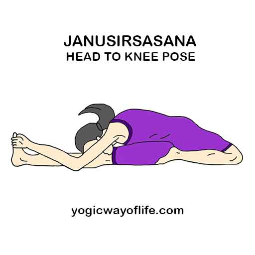 Janu sirsasana - Head to Knee Pose