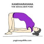 Kandharasana - Shoulder Pose