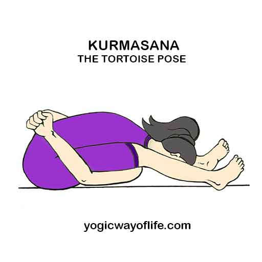 Kurmasana_Tortoise_Pose_Yoga_Asana