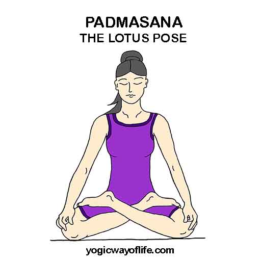 PADMASANA - Lotus Pose