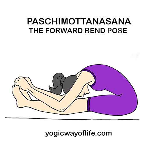 Paschimottanasana - Forward bend Pose
