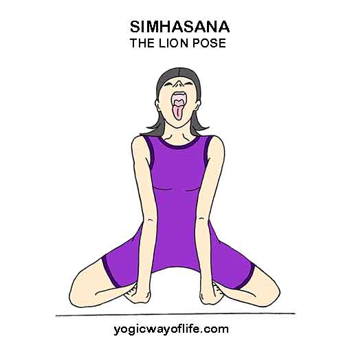 Simhasana_Lion_Pose_Yoga_Asana