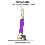 SIRSASANA - Yogic Head Stand
