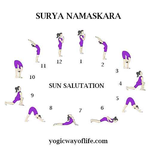 Surya_namaskara_Sun_Salutaion_Yoga_Asana