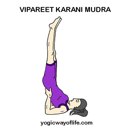 Vipareeta Karani Asana - The Inverted Pose