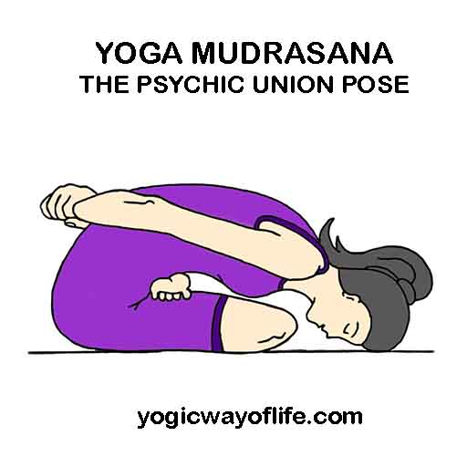 Yoga Mudrasana - Psychic Union Pose