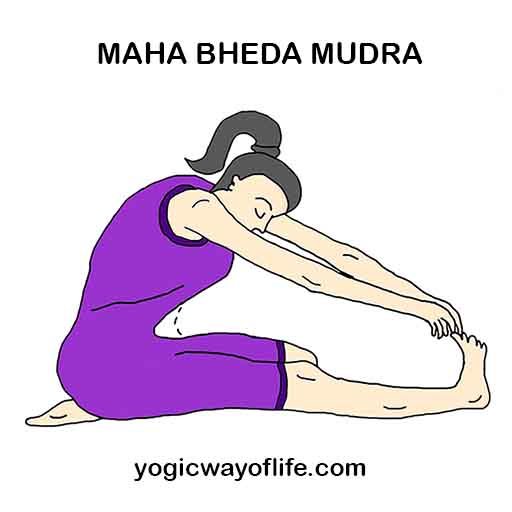 Maha_Bheda_Mudra_Yoga_Gesture