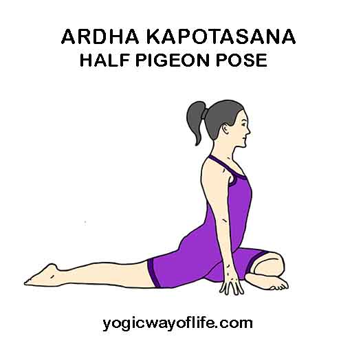 Ardha Kapotasana - Half Pigeon Pose
