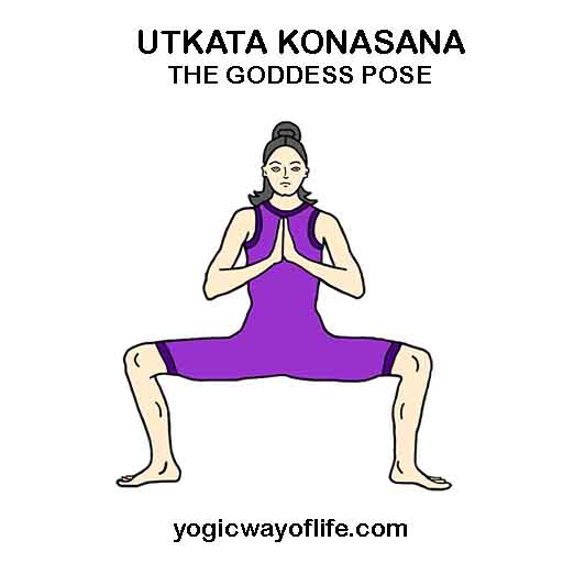 Utkata Konasana - Goddess Pose