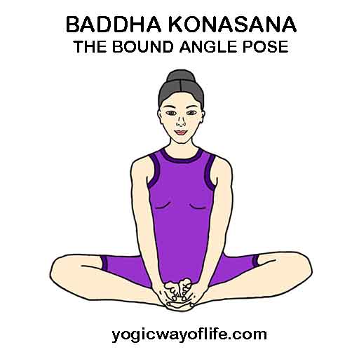 baddha Konasana - bound angle pose