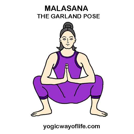 malasana_garland_pose_asana_yoga