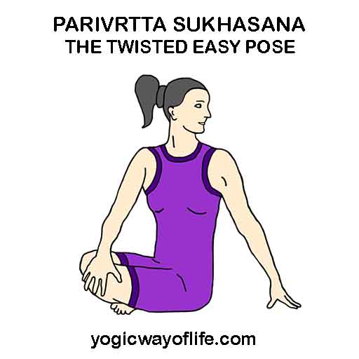 parivrrta_sukhasana_twisted_easy_pose_asana_yoga
