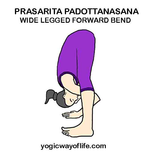 prasarita_padottanasana_wide_legged_forward_bend_pose_yoga_asana