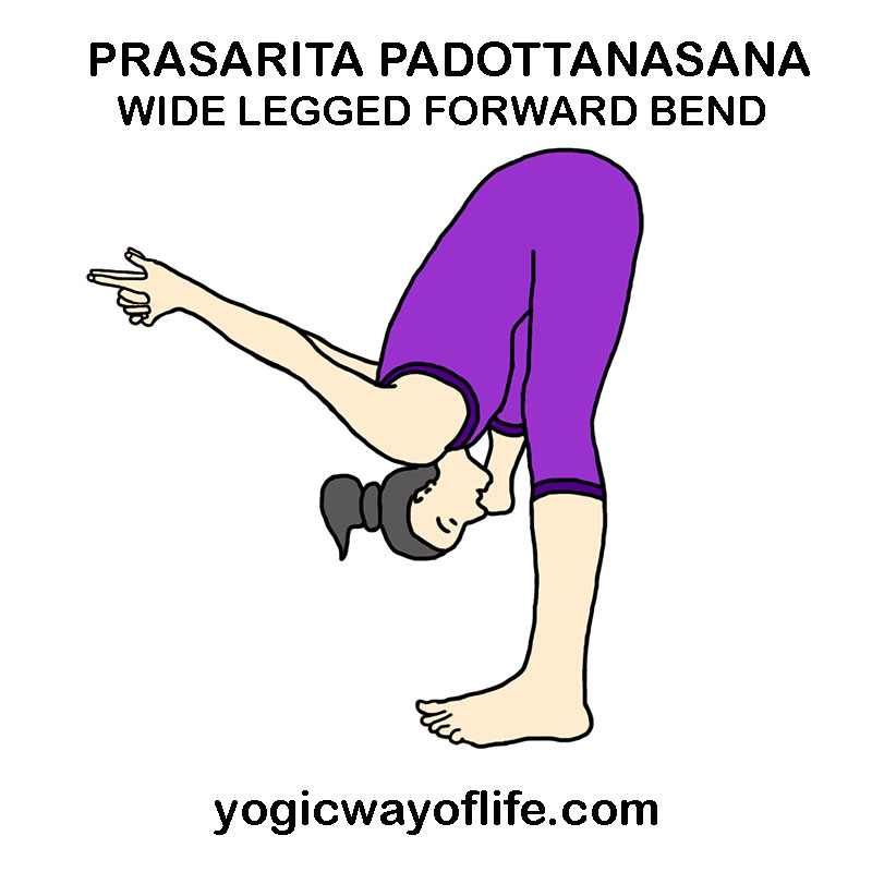 prasarita_padottanasana_wide_legged_forward_bend_pose_yoga_asana_var_2
