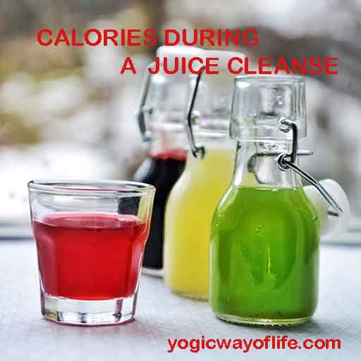Calories During Juice Cleanse