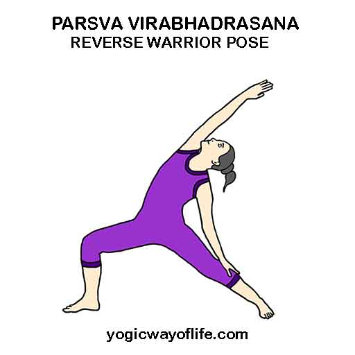 Parsva Virabhadrasana - Reverse Warrior Pose