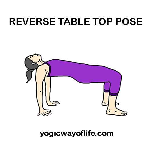 Reverse Table Top Pose - Ardha Purvottanasana