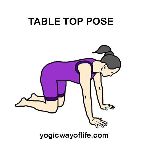 Table Top Pose - Yoga Asana