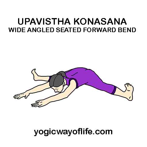 Upavistha Konasana - Wide Angle Seated Forward Bend Pose