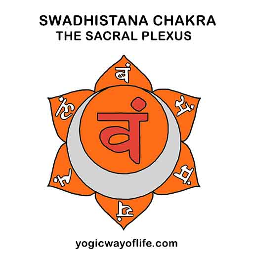 Swadhisthana Chakra -The Sacral Plexus
