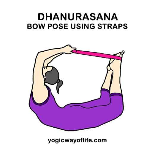 Dhanurasana with yoga straps - Bow Pose