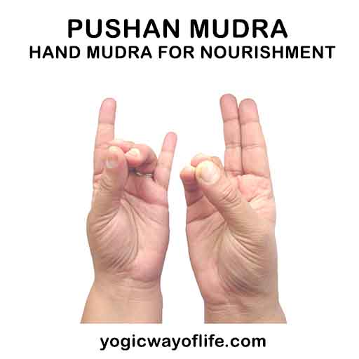 Pushan Mudra - Hand gesture for Digestion and Nourishment