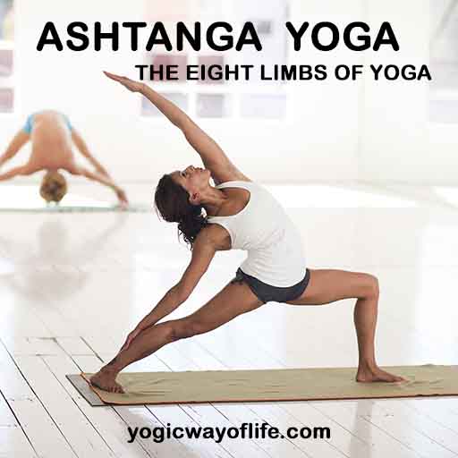 Ashtanga Yoga - The eight limbs of yoga