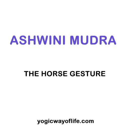 Ashwini Mudra - The horse gesture