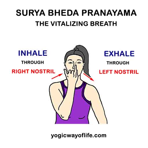 Surya Bheda Pranayama - Vitalizing Yogic Breath
