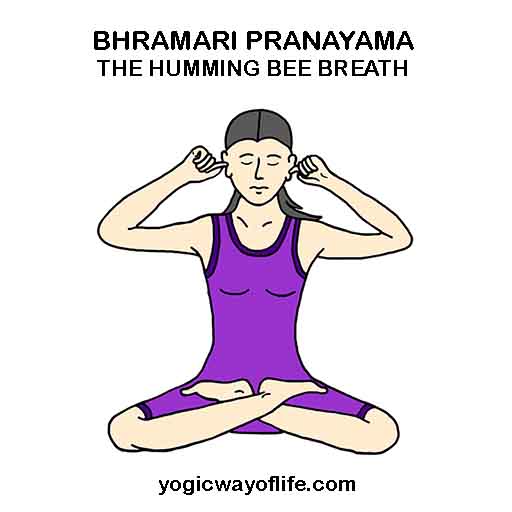 Bhramari Pranayama - Humming Bee Breath