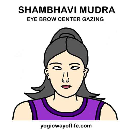 Shambhavi Mudra - Eyebrow center Gazing