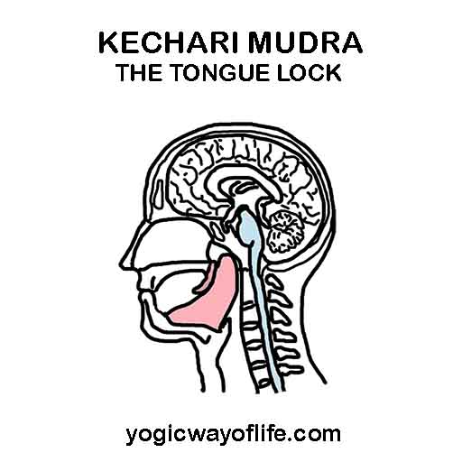 Kechari Mudra - The Tongue Lock