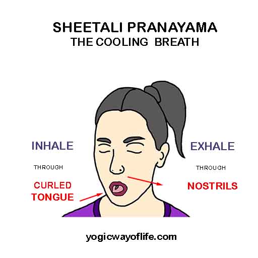 Sheetali Pranayama - Cooling Breath