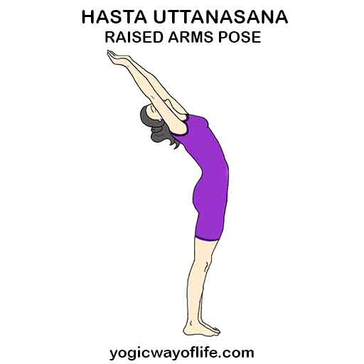 Hasta Uttanasana - Raised Arms Pose