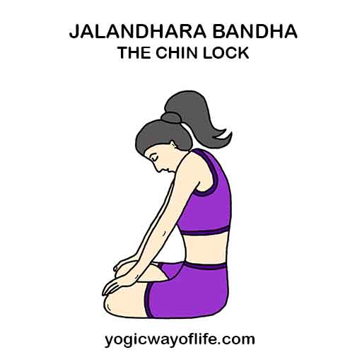 Jalandhara bandha - Chin Lock