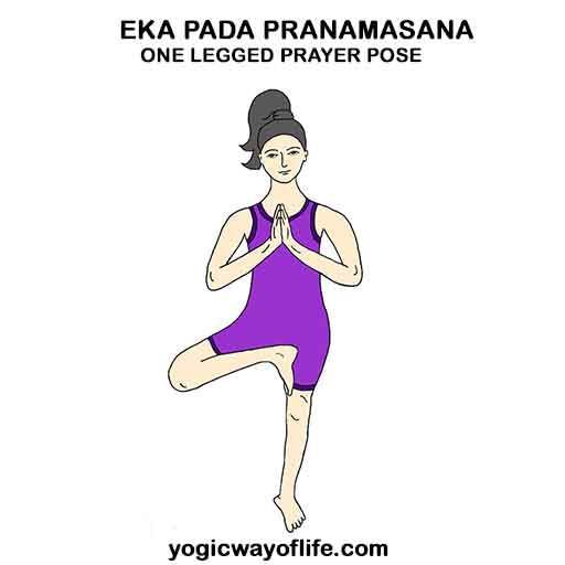Eka Pada Pranamasana
